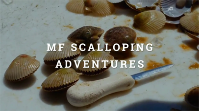 Angling Adventures Scallop Cleaning Video